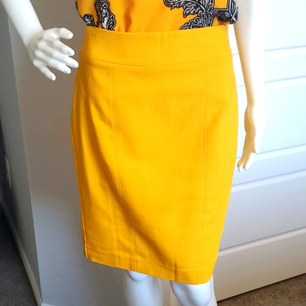 NTW Express skirt
